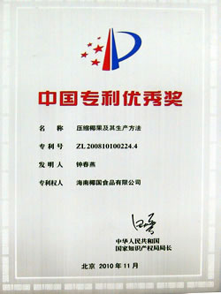 第十二届中国专利优秀奖奖牌